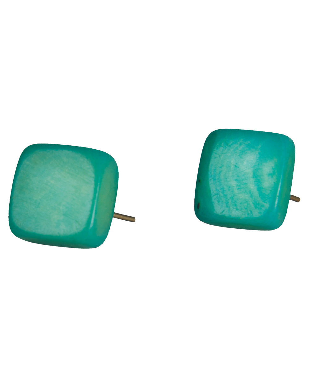 Stud Tagua Earring