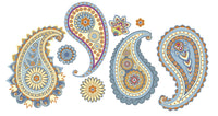 A Brief History of Paisley