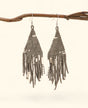Beaded earrings hanging from a branch on a light background