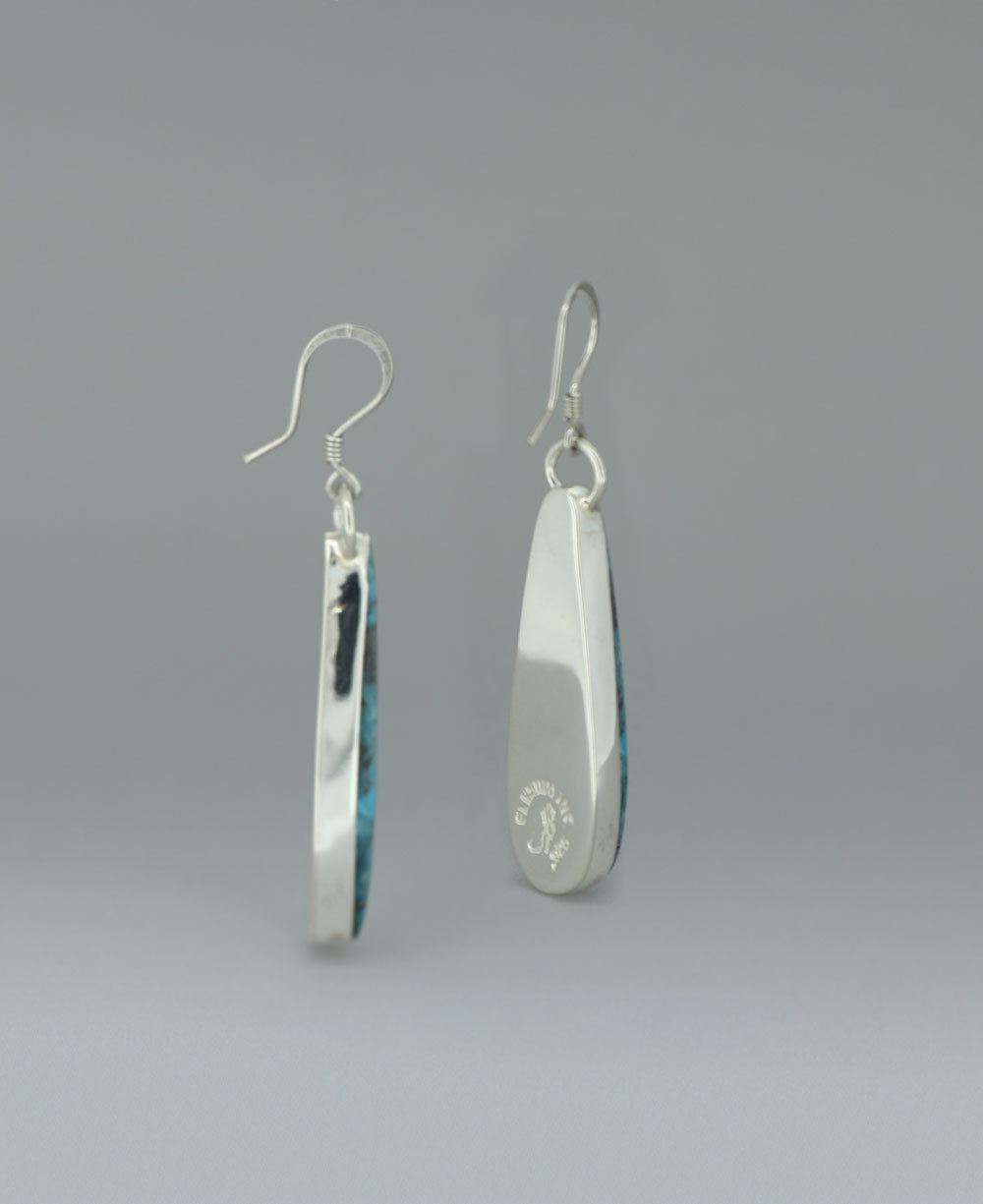 Close-up image of the sterling silver Genuine Turquoise earrings