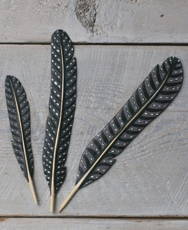 Feather Display