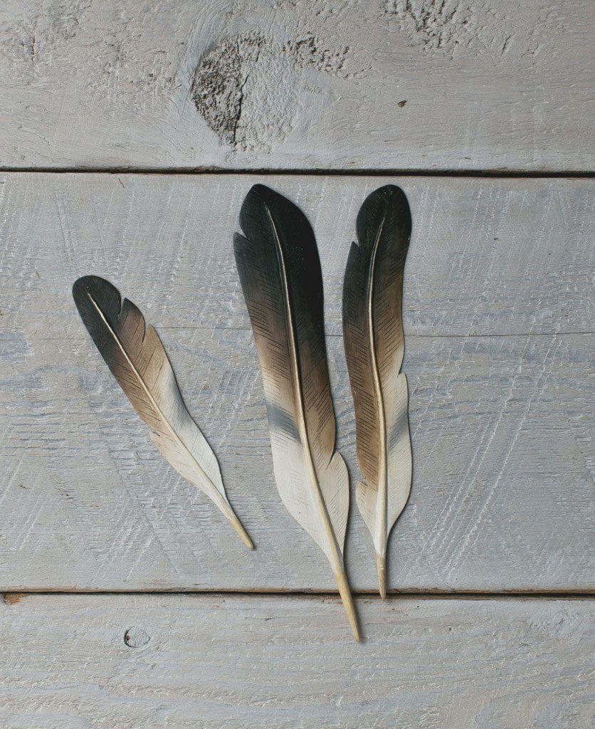 Feather Display