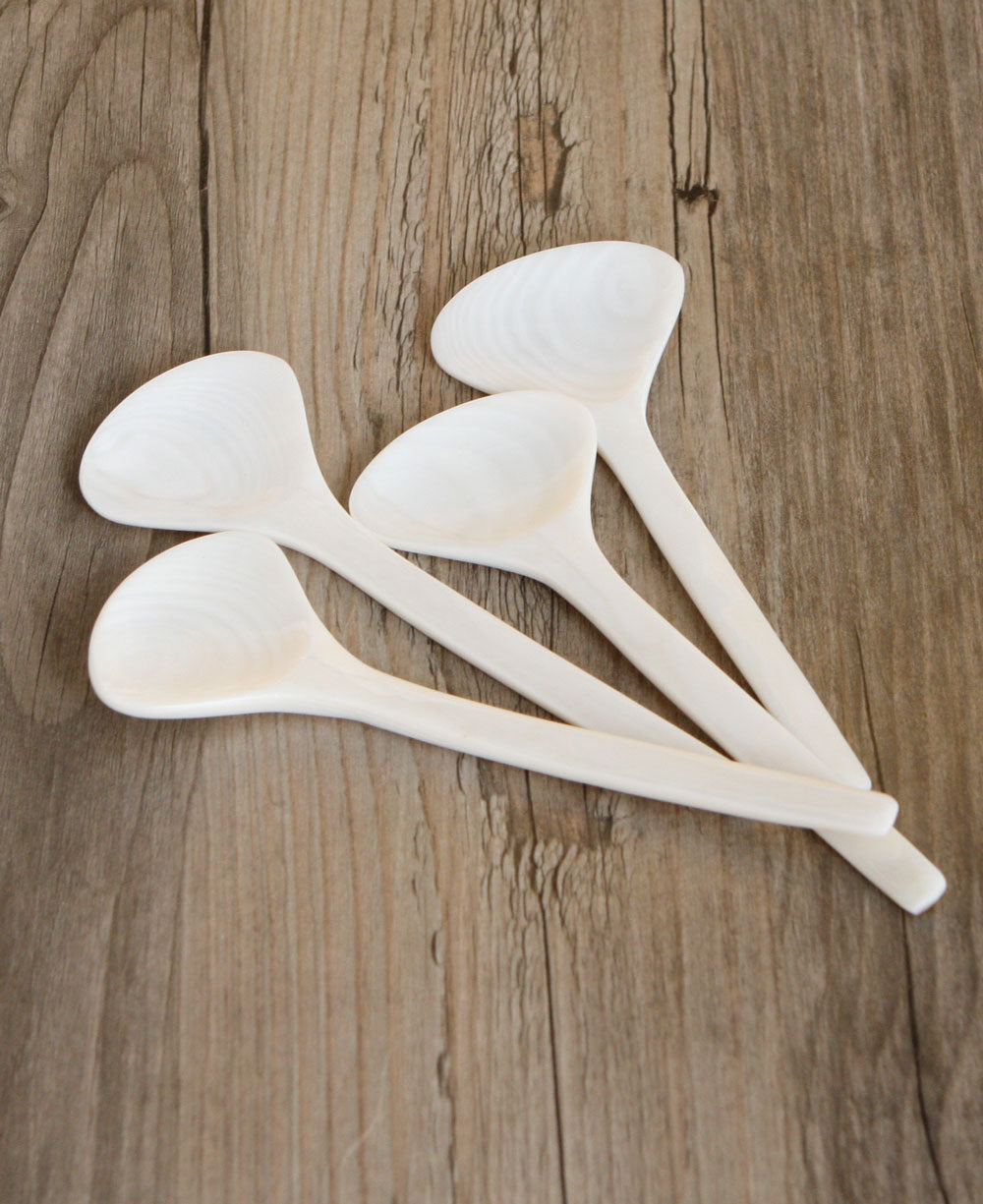 Oval Seashell Spoons