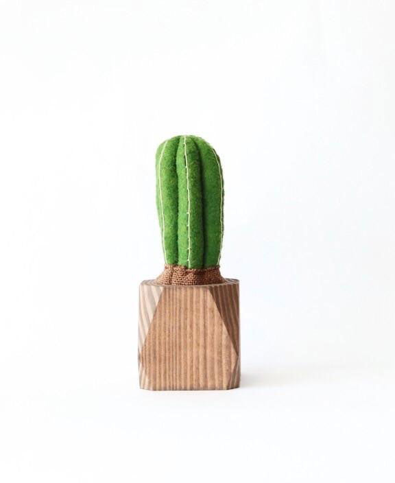 Cactus Planter