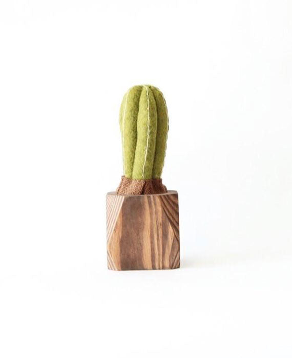 Cactus Planter