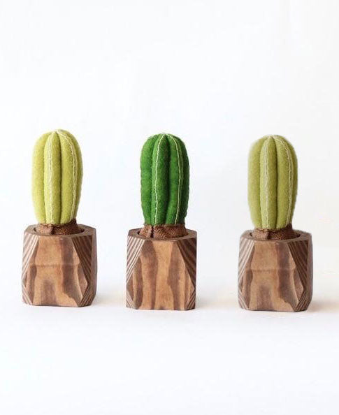 Cactus Planter