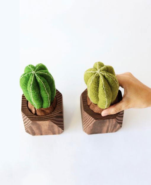 Cactus Planter