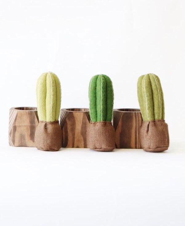 Cactus Planter